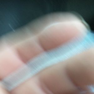 Meet your Posher, Leealan